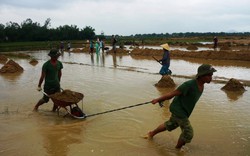 Bình Định: Bộ đội, dân quân tham gia khắc phục sa bồi