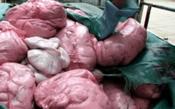 Thừa Thiên - Huế: Bắt 8,5 tạ thịt và nội tạng động vật không rõ nguồn gốc