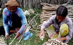 An Giang:  Đưa nghề về với  đồng bào Khmer