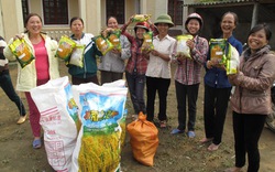 Hỗ trợ nông dân  khôi phục sản xuất sau lũ