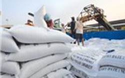 Mexico muốn tăng nhập khẩu gạo Việt Nam