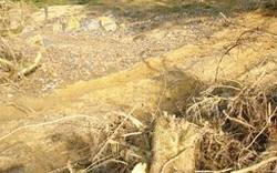 Quảng Ngãi: Vỡ đập uy hiếp 500ha đất sản xuất