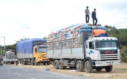 Xe quá tải: Sẽ “sờ gáy” chủ hàng, chủ kho bãi