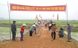 Quảng Trị: Hỗ trợ giống cây trồng cho nông dân