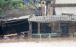 Quảng Nam: 31 tỷ đồng khắc phục hậu quả thiên tai