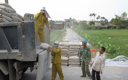 Thái Bình: Cấp 250.000 tấn xi măng cho các xã 
