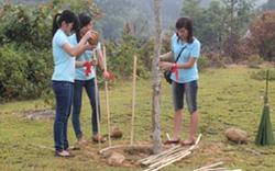 Bắc Ninh: Công ty Canon hỗ trợ làm sạch môi trường