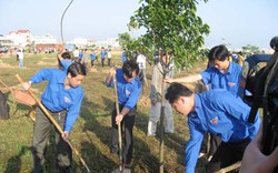 Tổ chức hiệu quả tết trồng cây Xuân Giáp Ngọ