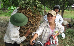 Huyện Sông Mã &#40;Sơn La&#41;: Còn 10 tiêu chí  chưa xã nào đạt