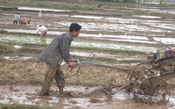 Nông dân và Hội  cùng thi đua