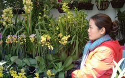 Địa lan nở sớm ở Đà Lạt: Hoa cười, người khóc