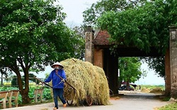 Làng cổ: loay hoay giữa bảo tồn và phát triển