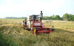 Đầu tư cho nông nghiệp, nông thôn: Tiền nhiều vẫn chưa trúng? 