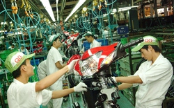 Chuyên gia kinh tế Bùi Kiến Thành: “Nên bớt ưu đãi doanh nghiệp FDI” 