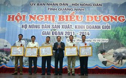 Quảng Ninh: Tôn vinh các hộ nông dân sản xuất giỏi