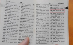Từ điển tiếng Việt gây sốc: Nặng thì thu hồi, cấm lưu hành vĩnh viễn