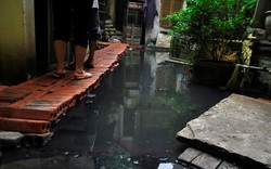 KINH HOÀNG: Khu dân cư giữa Thủ đô hơn 1 năm “ngập chìm” trong nước cống thối