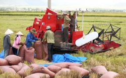 Đầu tư vào nông nghiệp, nông thôn: Đủ kiểu hành doanh nghiệp