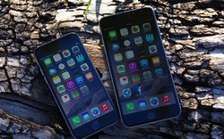 Nghịch lý iPhone 6 xách tay tại Việt Nam
