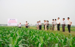 Supe Lâm Thao: Đồng hành và chịu trách nhiệm đến cùng với nông dân