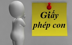 Bộ Nông nghiệp Phát triển Nông thôn thống kê  “giấy phép con”