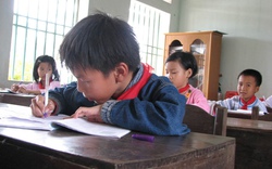 Bỏ chấm điểm với 7 triệu học sinh tiểu học: Cô giáo mệt phờ “tô hoa”