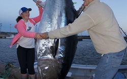 Cô bé bắt gọn cá ngừ khổng lồ nặng 280 kg được thưởng lớn