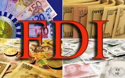 Thu hút vốn FDI đạt 13,7 tỷ USD