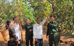 Binh đoàn 15 - từ một niềm tin “Quyết thắng” 