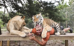 Ăn, ngủ, chơi bi-a... cùng 14 con hổ, sư tử