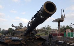Quân đội Kiev nã pháo, phá hủy vũ khí của ly khai Đông Ukraine 