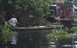 Thợ săn thành phố và nghề đặt bẫy chim trời, cá... phóng sinh &#40;kỳ 1&#41;