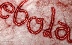 Đà Nẵng: Bệnh nhân nghi nhiễm Ebola bị... sốt rét