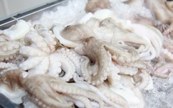 Xuất khẩu sản phẩm mực và bạch tuộc sang Nhật Bản giảm