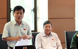Quốc hội thảo luận tổ về dự án sân bay Long Thành: Nên để sau năm 2020 hãy làm