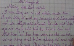 Học sinh lớp 5 viết bài văn “lạ” đầy thú vị về cuộc tranh giành miếng thịt