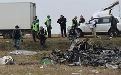 Chuyên gia Hà Lan phát hiện hài cốt mới tại hiện trường MH17 rơi ở Ukraine