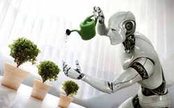 Robot, máy móc sẽ đảm nhiệm 1/3 khối lượng công việc tại Anh