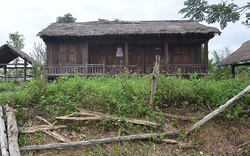 Cảnh hoang vắng, tàn tạ khó tin ở làng văn hóa Đồng Mô