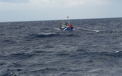 Cứu 8 ngư dân gặp nạn trên biển Hoàng Sa