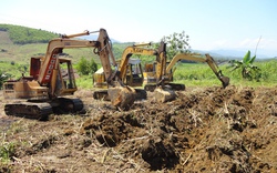 Kỹ thuật trồng, chăm sóc và bón phân NPK-S Lâm Thao  cho cây mía