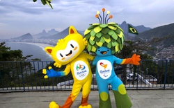 Linh vật Olympic Rio 2016 là chú mèo lai khỉ