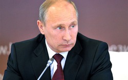 &#34;Giận&#34; phương Tây, Putin hủy dự án đường ống khí đốt cho châu Âu