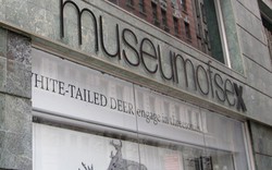Bảo tàng tình dục số 1 nước Mỹ hút khách du lịch