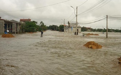 Hai học sinh tiểu học trượt chân xuống nước lũ chết thảm