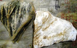 Thanh Hóa: Phát hiện 2 mảnh xương khủng long hóa thạch?