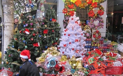 Thị trường Noel 2014: Giá tăng vọt, khách đua nhau mua sớm