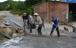 Quế Long đang khởi sắc