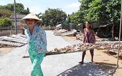 Làng thủy hải sản khô tấp nập làm hàng Tết