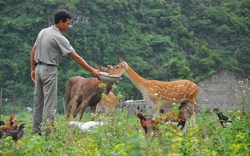 Tam Điệp &#40;Ninh Bình&#41;: Lo việc tổ chức sản xuất cho dân